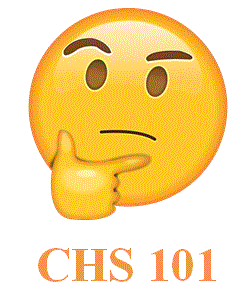 CHS 101